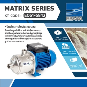 EBARA ปั๊มน้ำหลายใบพัดแนวนอน รุ่น MATRIX 5-4T/0.9M - Image 5
