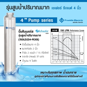 FRANKLIN เฉพาะปั๊ม 2 HP รุ่น L4D45X9 2"(150LD2S4) - Image 4