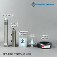 FRANKLIN ชุด 2 HP TRI 25-14 220V รุ่น 70LD2S4-PEXB
