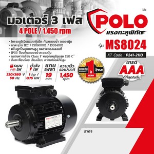 POLO มอเตอร์ รุ่น MS 8024 - Image 7