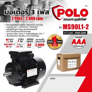 POLO มอเตอร์ (A Series) 3 แรงม้า 380 โวลต์ 2 โพล 3 เฟส 3 สาย รุ่น MS 90L1-2 - Image 7