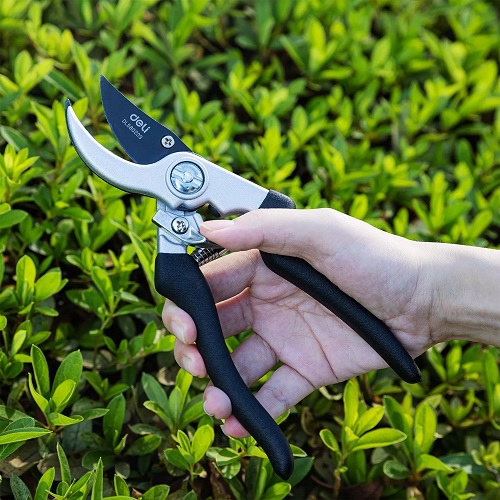 DELI HT กรรไกรตัดกิ่ง โค้ง 8.5" EDL580203 DELI - Image 2